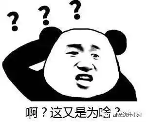 不提前学民办入学考试难过关上公办幼儿园的孩子竟辍学去补课
