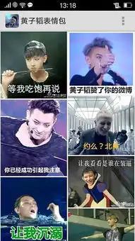 黄子韬表情包app下载黄子韬表情包下载v1.5安卓版2265安卓网
