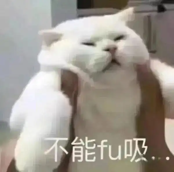 可莉表情包竖中指不成