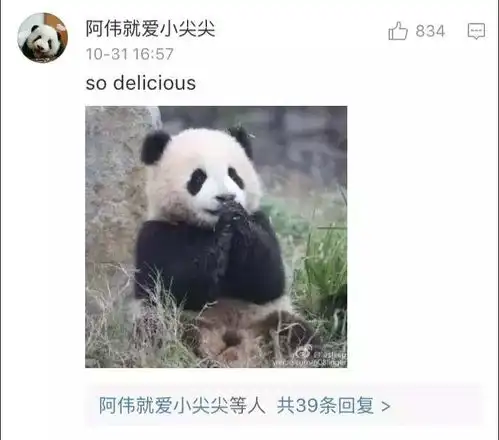 哈哈哈哈万圣节就这样被中国网友毁了