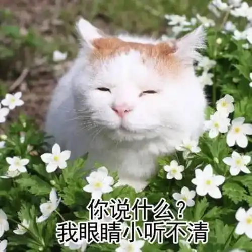 小心别让隔代亲话术洗了脑
