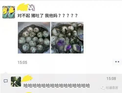 不小心在家庭群里发了沙雕表情包,群聊尬出一身冷汗...
