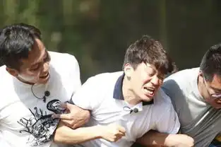 当王宝强遇上刘烨爸爸3运动会表情包大战11
