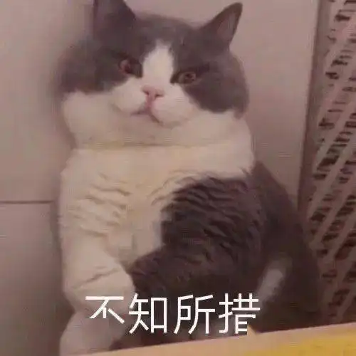 紧急台风沙德尔生成,今夜登陆全能型冷空气来了厦门气温狂跌至...
