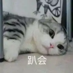 惠州停车难今年,1.6万个智能化管理公共停车位甩给你
