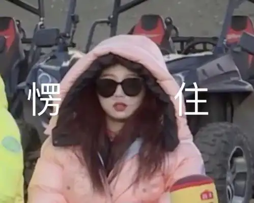 鸡子表情包虞书欣