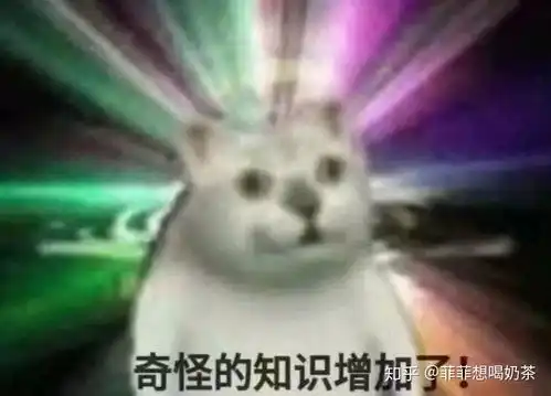 使命召唤战区闪退问题怎么解决
