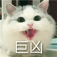 超凶比你还凶的表情包猫咪超凶表情包
