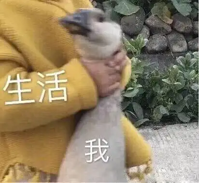 不加班的都是垃圾公司hr招聘时口出狂言
