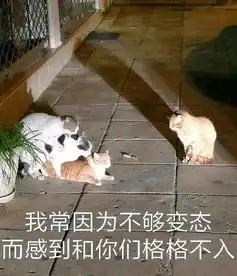 撩妹表情包有点污有点羞的撩妹表情包
