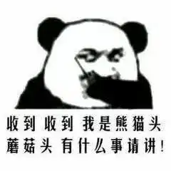 对讲机表情包收到请回复
