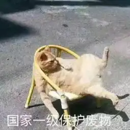 蹬蹬腿,找回童年的感觉
