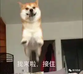 经历过儿童疫苗的风波,孕妈妈疫苗的常识你知道吗
