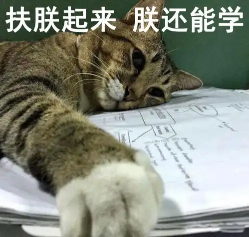 学习困难表情包上学如上坟,上课如催眠,做作业如登山
