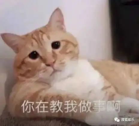 娱乐日报嘉羿新恋情曝光苏醒发文内涵同行仝卓告别湖南卫视
