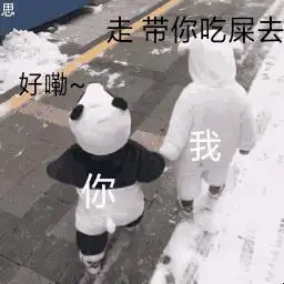 有什么可爱的小表情包或者动图表情包吗
