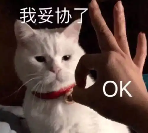 收藏夹