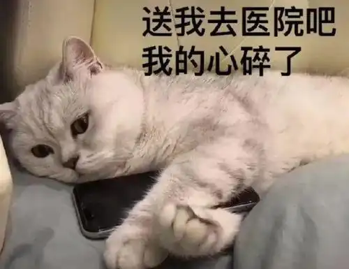 清远一假名牌包窝点被端,涉案2千多万元
