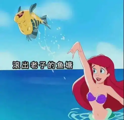 表情包你已经被我盯上了
