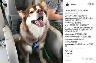 王思聪花100万寻狗王可可日常开销可不止这些...
