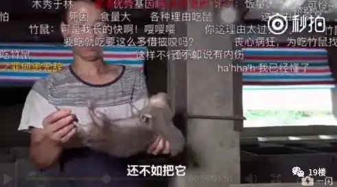 笑到泪奔竹鼠表情包窜上热搜吃它有一百种理由漂亮抑郁中暑...
