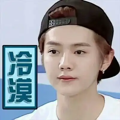 鹿晗表情包自制
