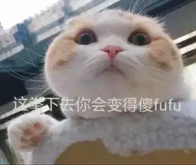 爆笑段子你神经病啊想当第三者想疯了啊
