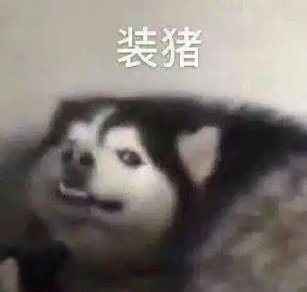 分享一些狗狗表情包
