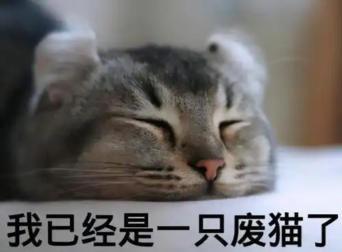 宠主有以下5种行为,很容易将猫咪养废,别不当回事
