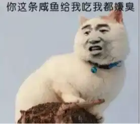 她温暖,她傲娇,她慵懒,她眼里的星辰都是你
