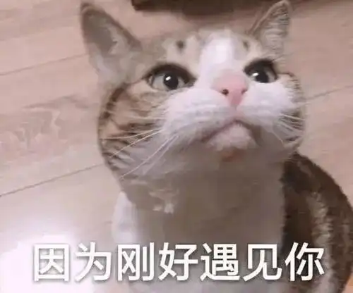 西安丨女子山中采毛栗不慎滑落山坡,左腿被卡灌木丛动弹不得...
