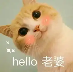 国产撩妹表情包,配上搞笑段子,一起来笑吧
