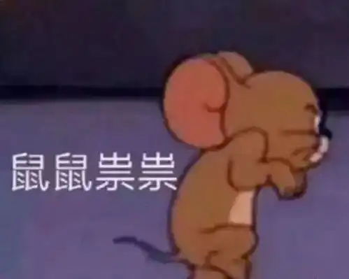那些年,我们一起追过的动画片
