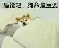 夜谈我在夜里做自己你在自杀生活
