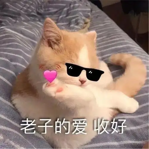 每日精选沙雕表情包
