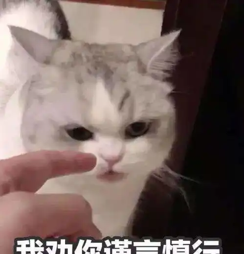 别人家的猫vs你家的猫,有机会重新选择的话,你选谁
