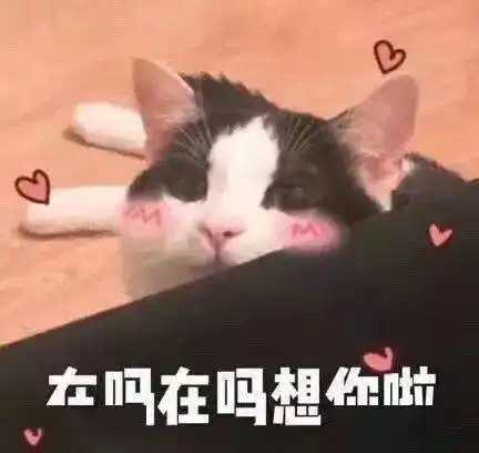 太猖狂了坦洲6名年轻人同住一房竟干这事......
