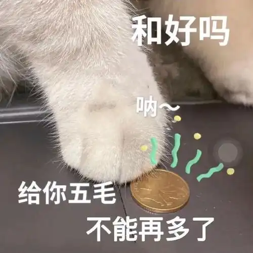 情侣必备求和好哄女友男友超实用的表情包
