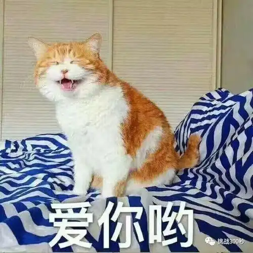 抖音网红初踏综艺秀泪洒现场原因居然是
