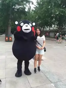 熊本林大表情包之旅附赠一夜暴富秘籍
