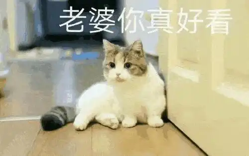 十条段子被窝里放屁,能闻能捂
