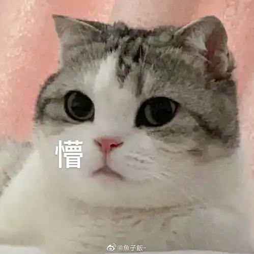 猫咪表情包香香软软的小泡芙专场今天是甜甜的小猫咪鸭
