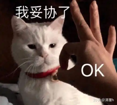 如何找到进入娱乐圈的工作机会内含超多总结
