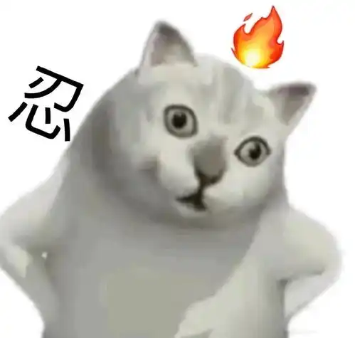 开课了
