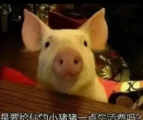 如何暗示爸妈生活费不够用方法简直绝了学会了吗
