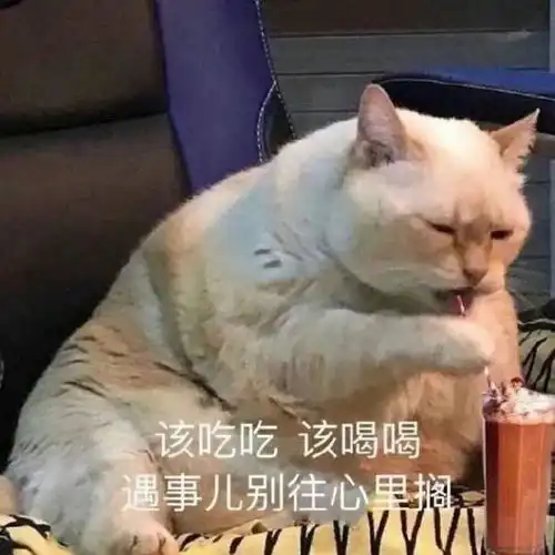表情包我已经坐好等亲亲啦
