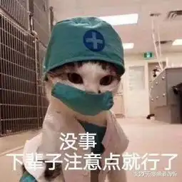 如何提升自己的学习效率
