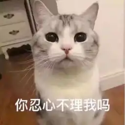 熊猫头搞笑表情皮好痒哦,想被打一顿怎么办
