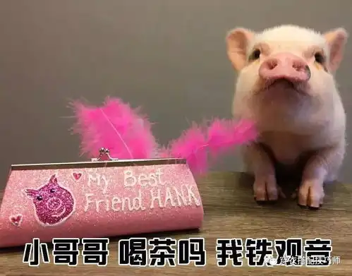 教你如何一句话搭讪好看的小哥哥
