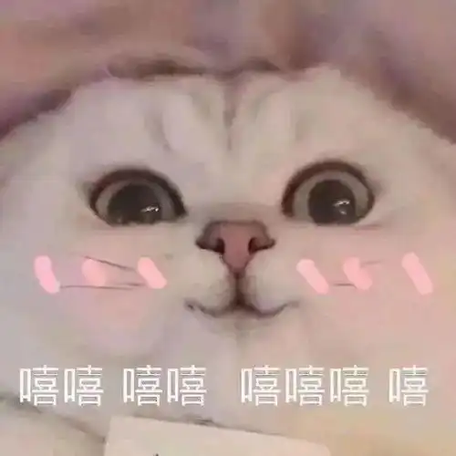 投稿北体猫猫奥利奥的一封信
